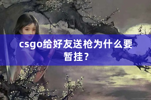 csgo给好友送枪为什么要暂挂？