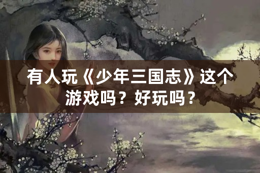 有人玩《少年三国志》这个游戏吗？好玩吗？