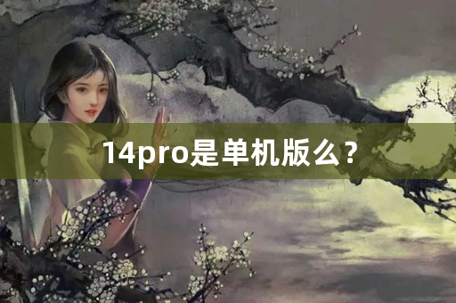 14pro是单机版么？