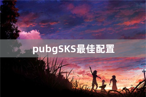 pubgSKS最佳配置