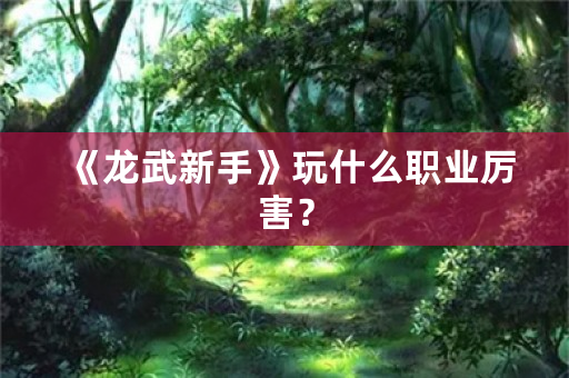 《龙武新手》玩什么职业厉害？