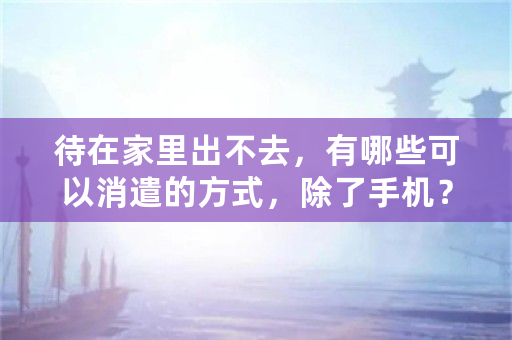 待在家里出不去，有哪些可以消遣的方式，除了手机？