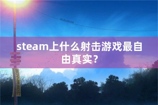 steam上什么射击游戏最自由真实？