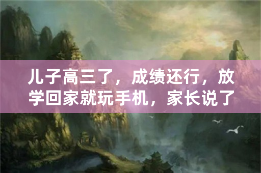 儿子高三了，成绩还行，放学回家就玩手机，家长说了也不听该怎么办？