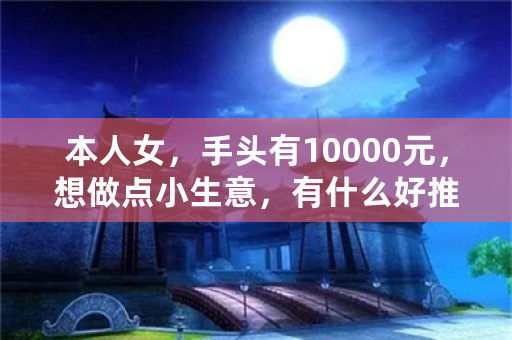 本人女，手头有10000元，想做点小生意，有什么好推荐？一天挣200-500就好？