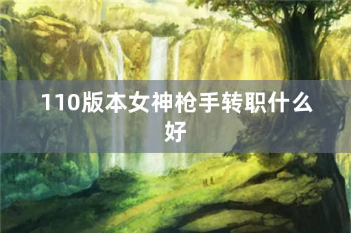 110版本女神**转职什么好