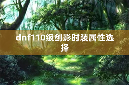 dnf110级剑影时装属性选择