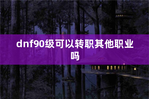 dnf90级可以转职其他职业吗