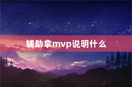 辅助拿mvp说明什么