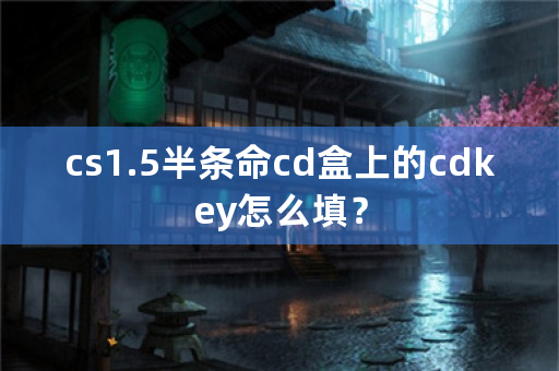 cs1.5半条命cd盒上的cdkey怎么填？