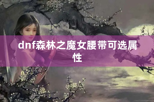 dnf森林之魔女腰带可选属性