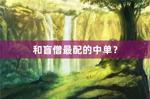 和盲僧最配的中单？