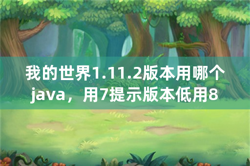 我的世界1.11.2版本用哪个java，用7提示版本低用8没反应，7可以玩但是有bug？