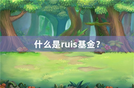 什么是ruis基金？