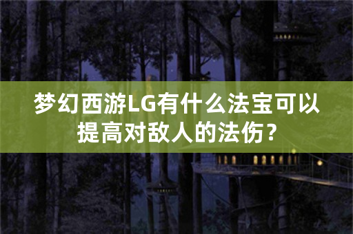 梦幻西游LG有什么法宝可以提高对敌人的法伤？