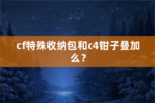 cf特殊收纳包和c4钳子叠加么？