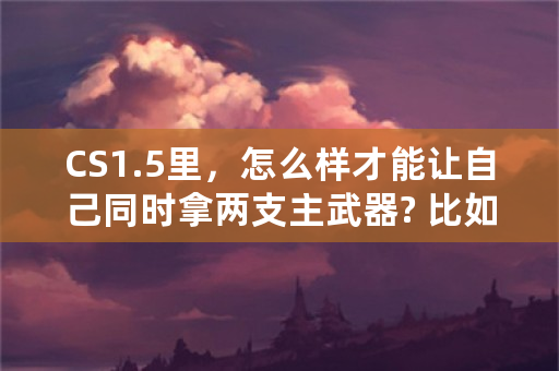 CS1.5里，怎么样才能让自己同时拿两支主武器? 比如，同时拿AK和，狙击？