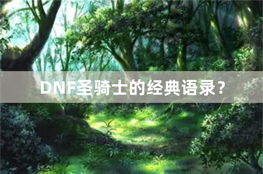 DNF圣骑士的经典语录？