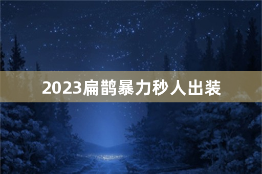 2023扁鹊暴力秒人出装