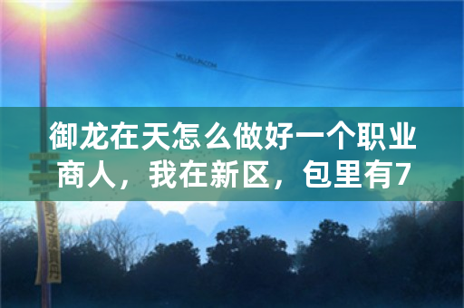 御龙在天怎么做好一个职业商人，我在新区，包里有70锭银子，怎么赚钱快？