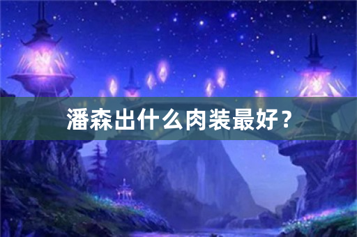 潘森出什么肉装最好？