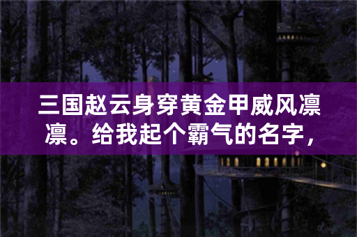 三国赵云身穿黄金甲威风凛凛。给我起个霸气的名字，谢谢？