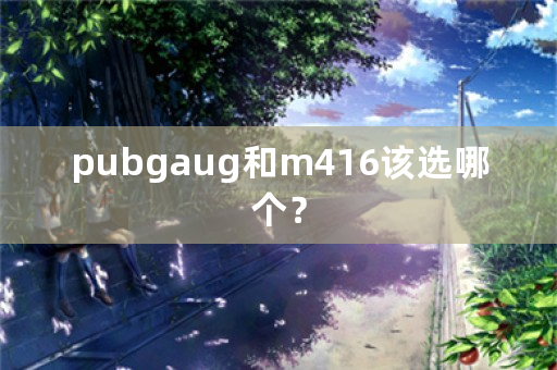 pubgaug和m416该选哪个？