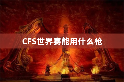 CFS世界赛能用什么枪