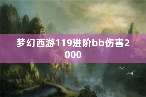 梦幻西游119进阶bb伤害2000