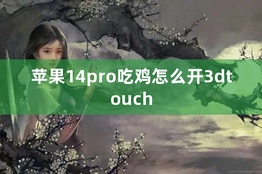 苹果14pro吃鸡怎么开3dtouch