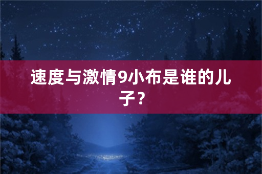 速度与**9小布是谁的儿子？