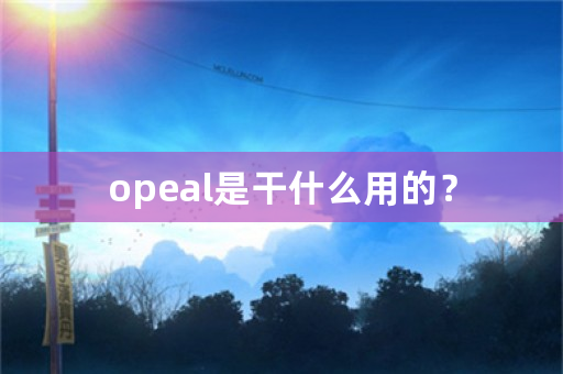 opeal是干什么用的？