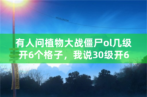 有人问植物大战僵尸ol几级开6个格子，我说30级开6个，40级开7个？