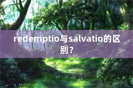 redemptio与salvatio的区别？