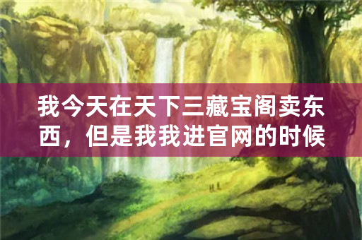 我今天在天下三藏宝阁卖东西，但是我我进官网的时候看不到有记录……求救。谢谢？