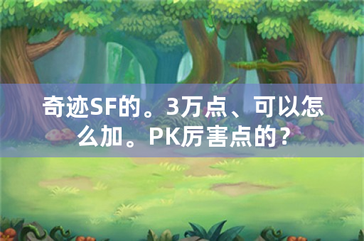 奇迹SF的。3万点、可以怎么加。PK厉害点的？