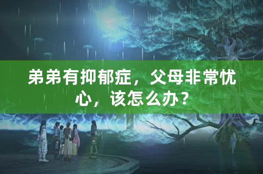 弟弟有抑郁症，父母非常忧心，该怎么办？