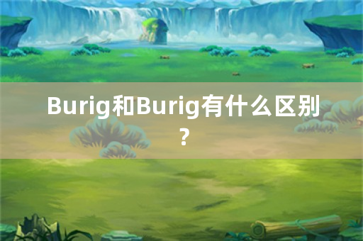 Burig和Burig有什么区别？