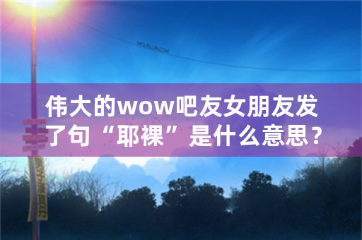 伟大的wow吧友女朋友发了句“耶裸”是什么意思？