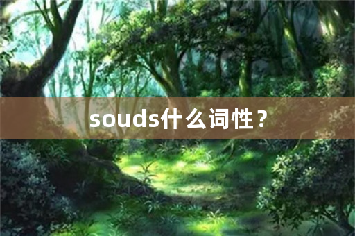 souds什么词性？