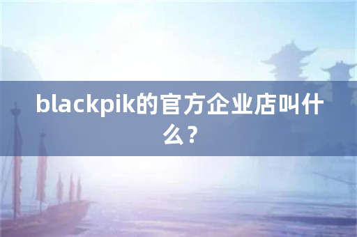 blackpik的官方企业店叫什么？