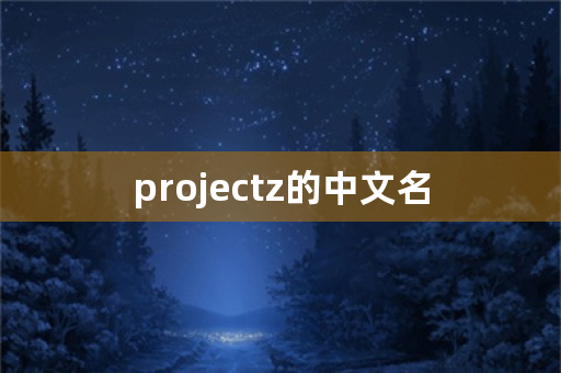 projectz的中文名