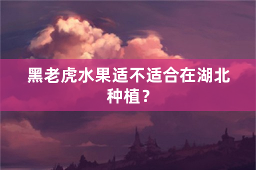 黑老虎水果适不适合在湖北种植？