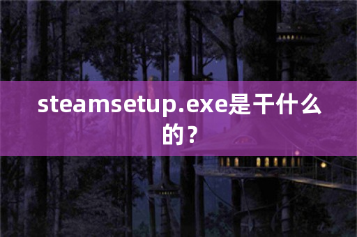 steamsetup.exe是干什么的？